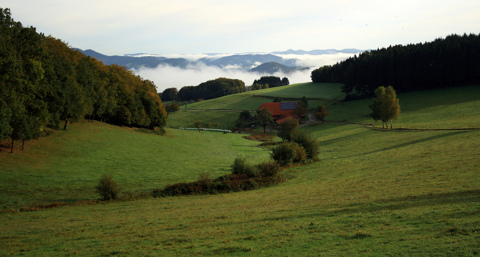 Spuren des Herbstes