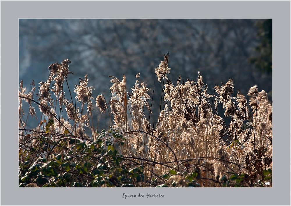 Spuren des Herbstes