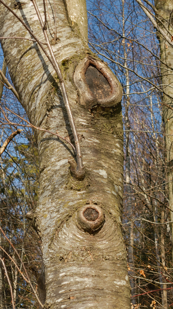 Spuren des Lebens