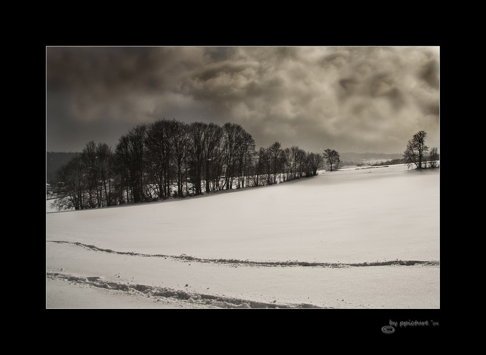 Spuren des Lebens