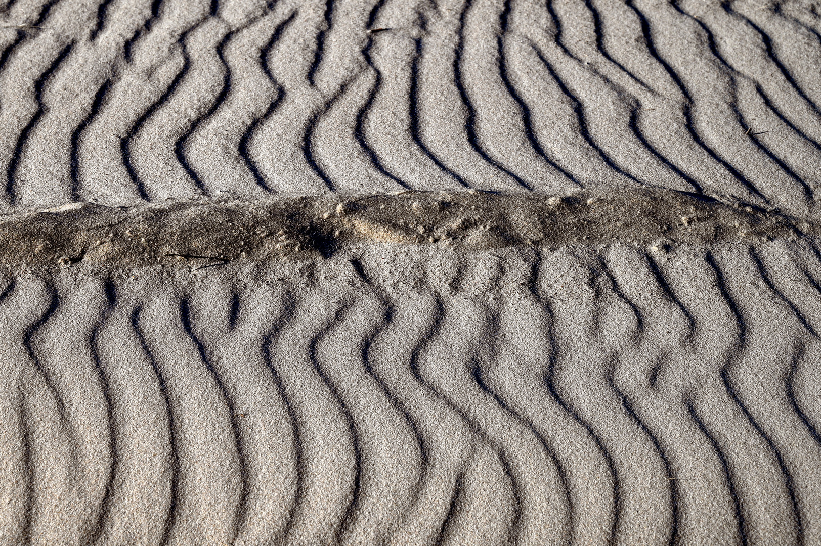 Spuren des Windes