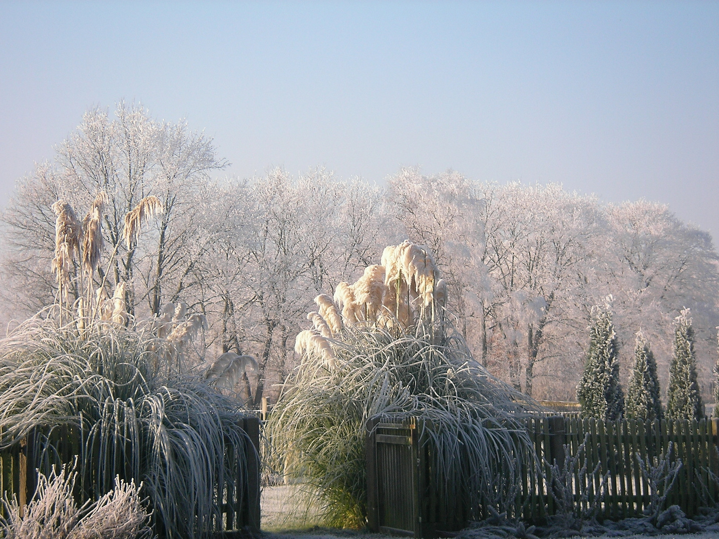 Spuren des Winters