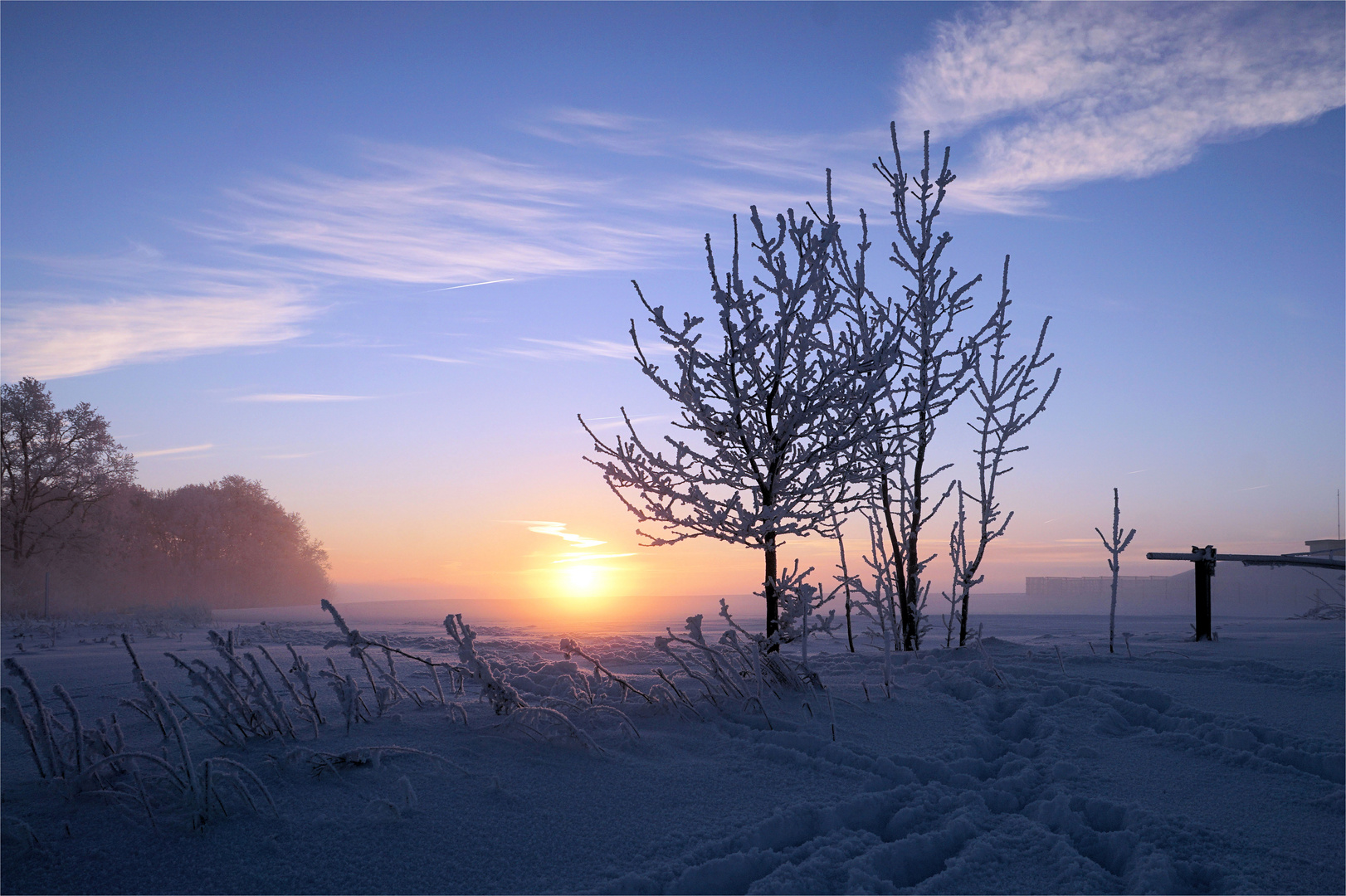 Spuren des Winters...