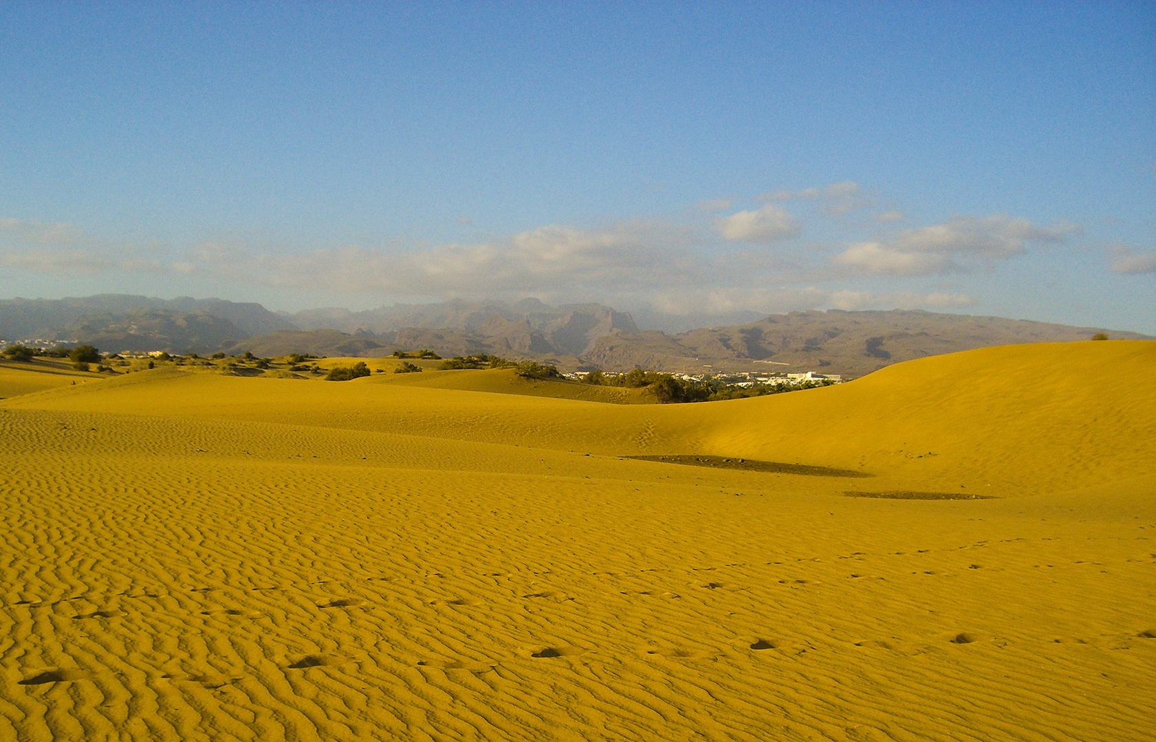 Spuren durch den Sand in Gran Canaria