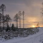 Spuren im Abendschnee