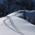 Spuren im Alpstein