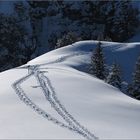 Spuren im Alpstein