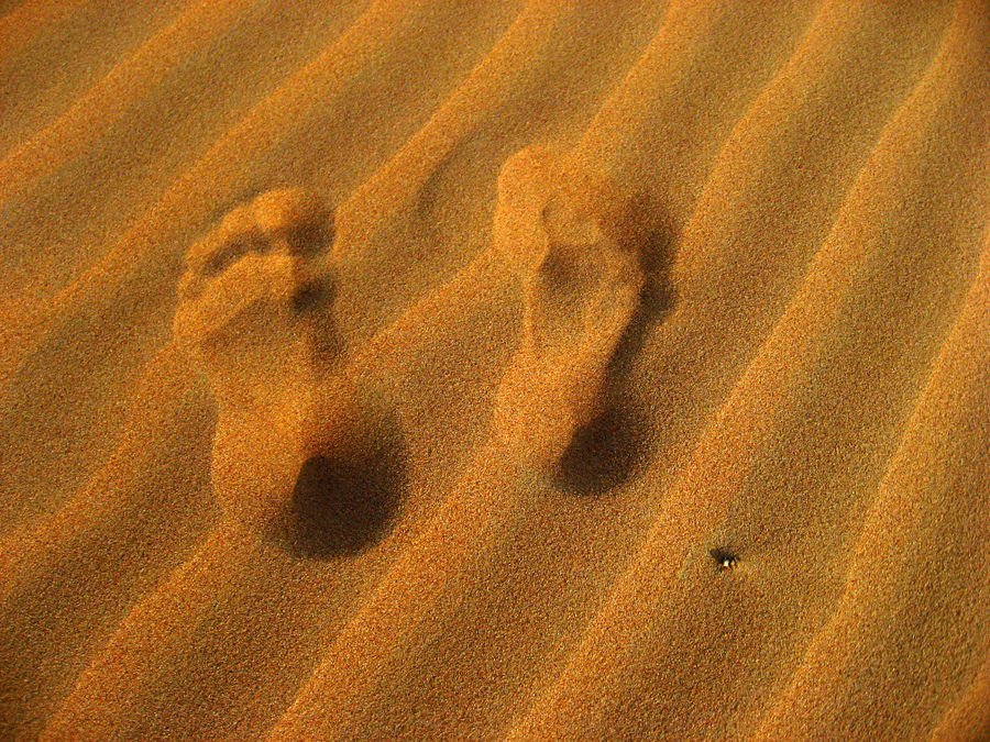 -Spuren im Arabischen Wüstensand-