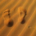 -Spuren im Arabischen Wüstensand-