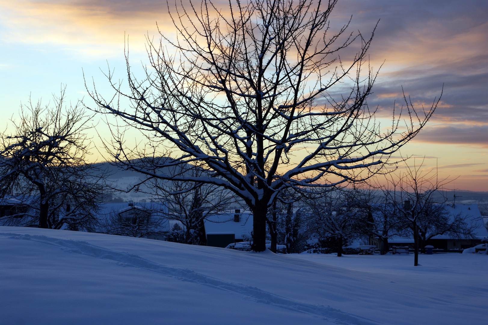 Spuren im blauen Schnee