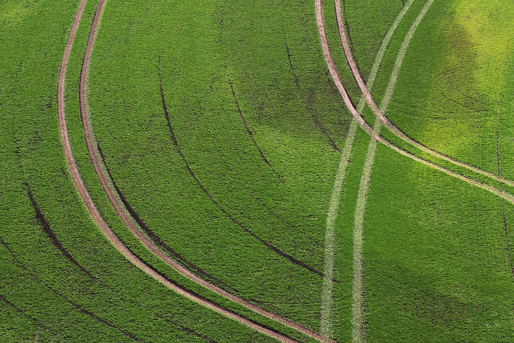 Spuren im Feld