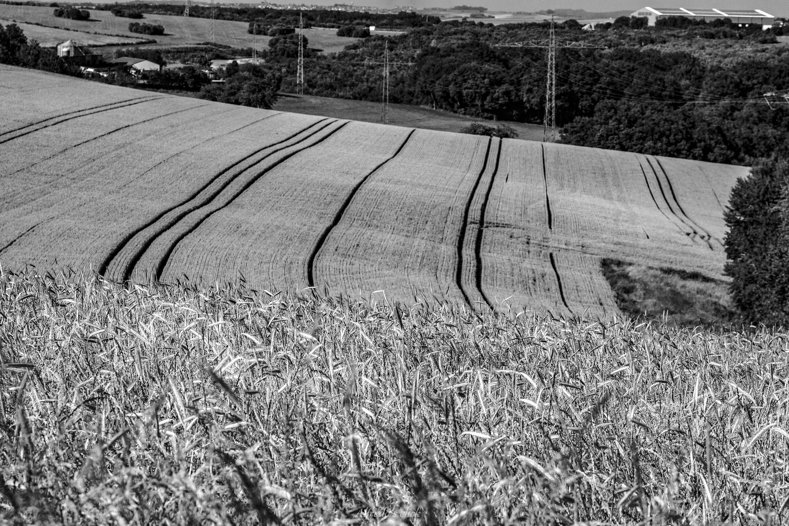 Spuren im Feld