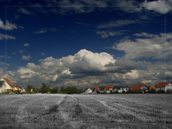 Spuren im Feld