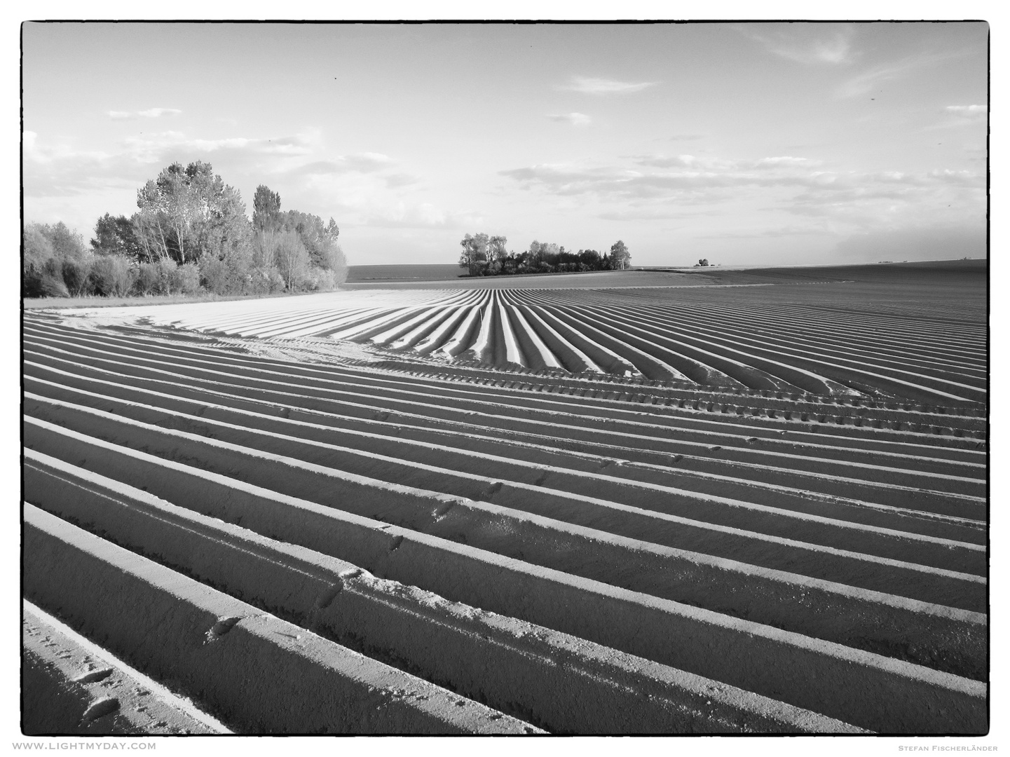 Spuren im Feld