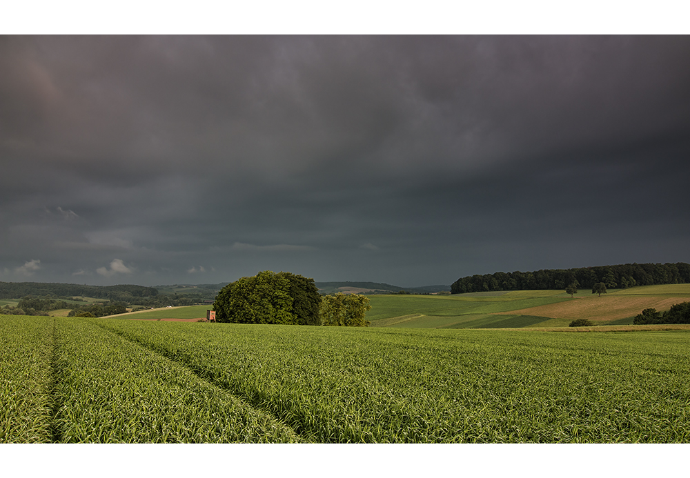 Spuren im Feld