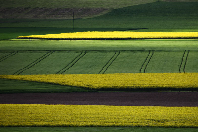 Spuren im Feld