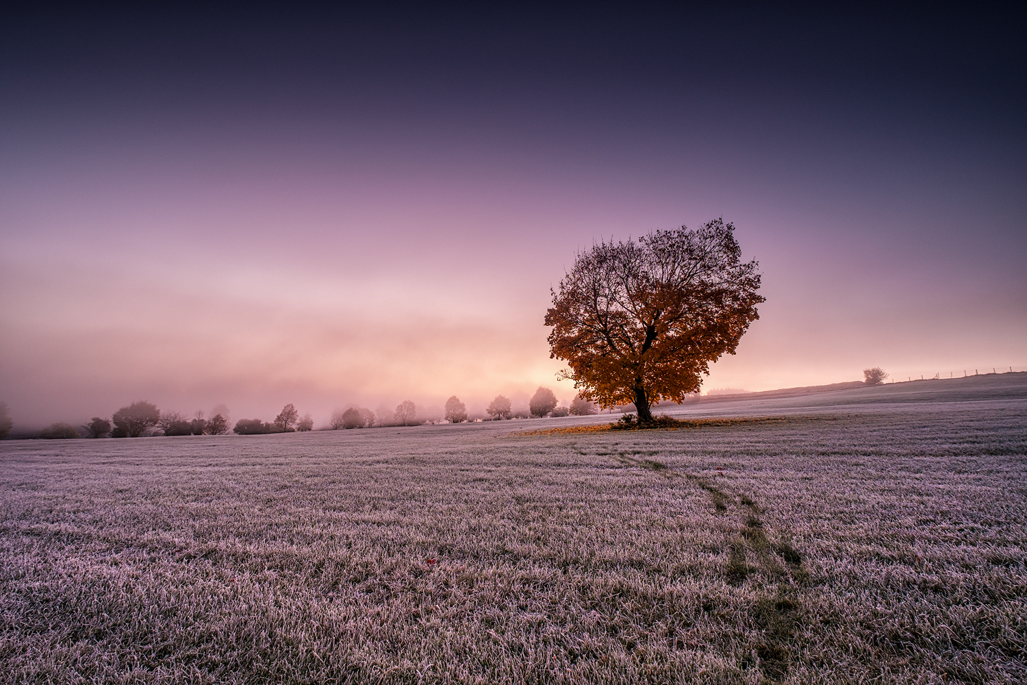 spuren im frost 