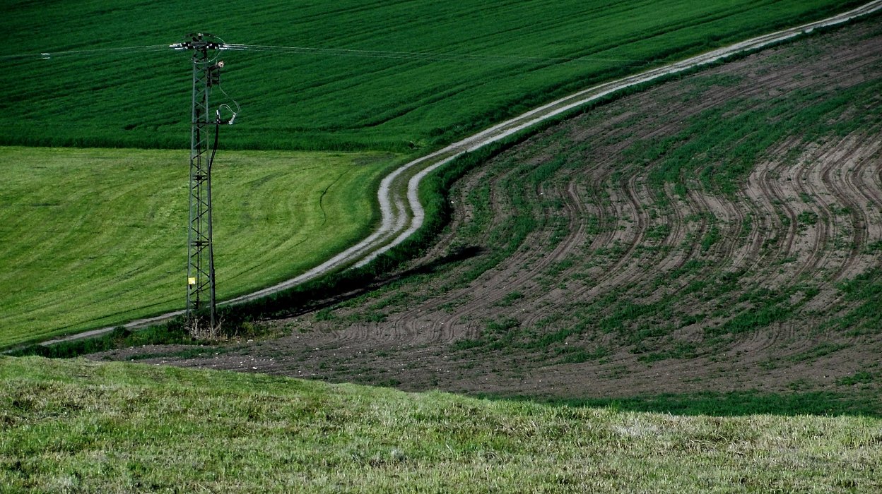 Spuren im grünen Meer