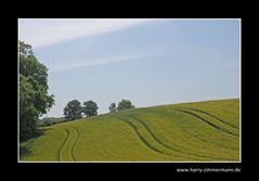 Spuren im Korn