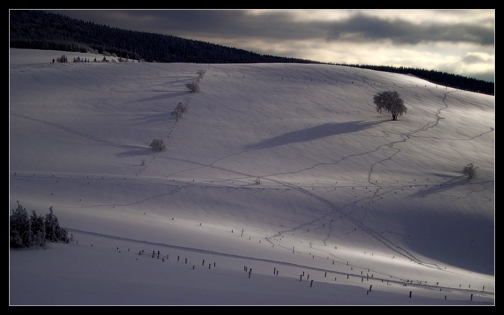 Spuren im Licht