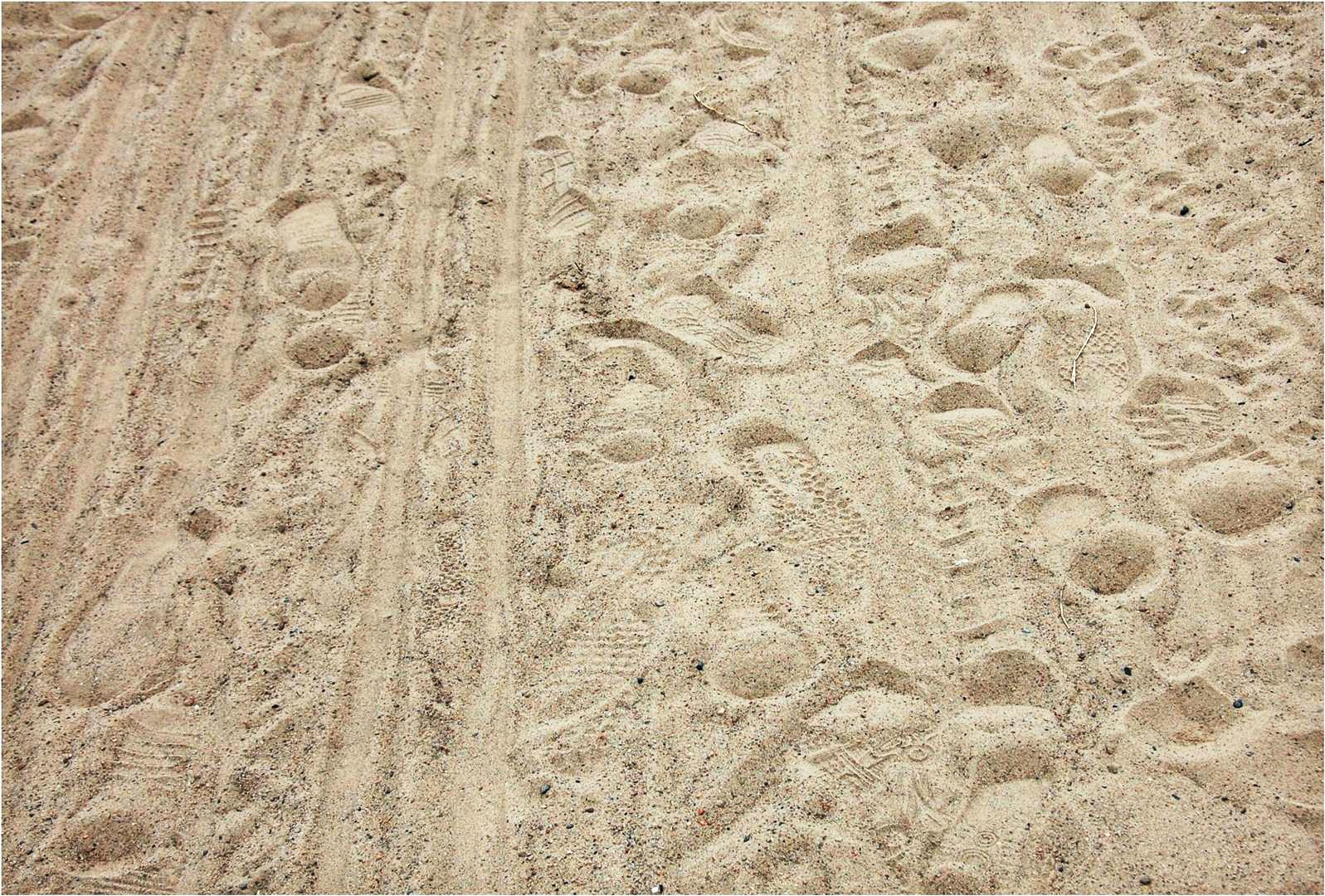 Spuren im märkischen Sand