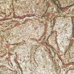 Spuren im Millionen Jahre alten Sand