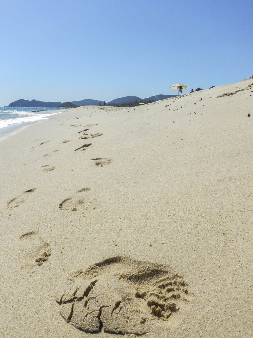 Spuren im Sand