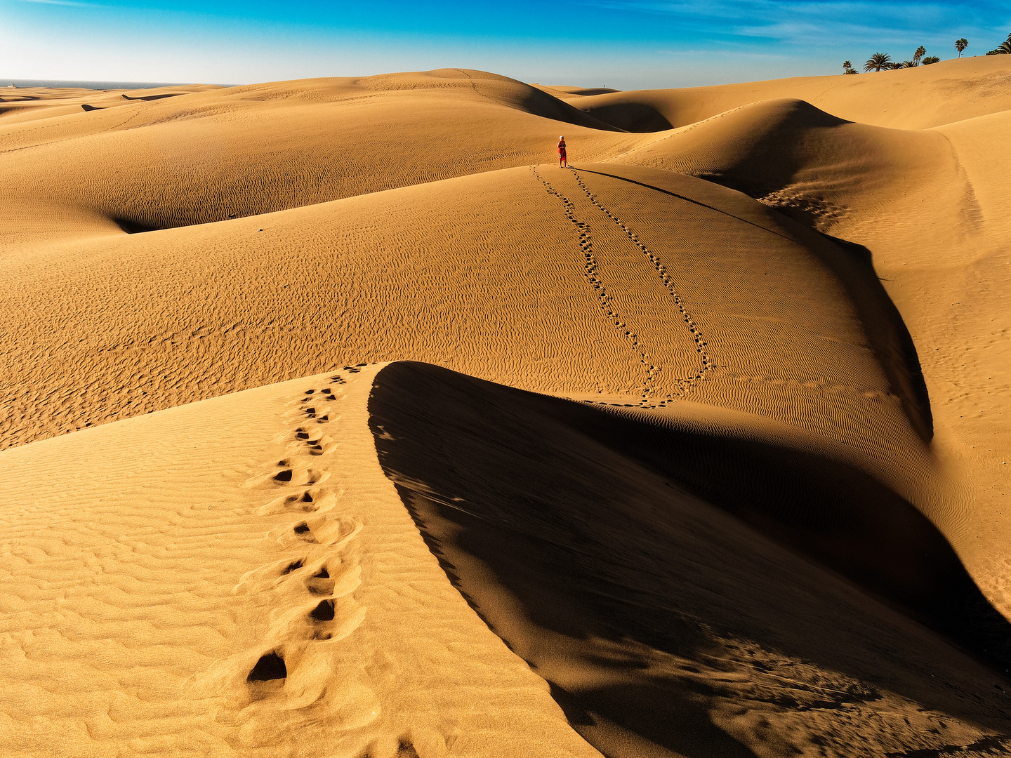 Spuren im Sand