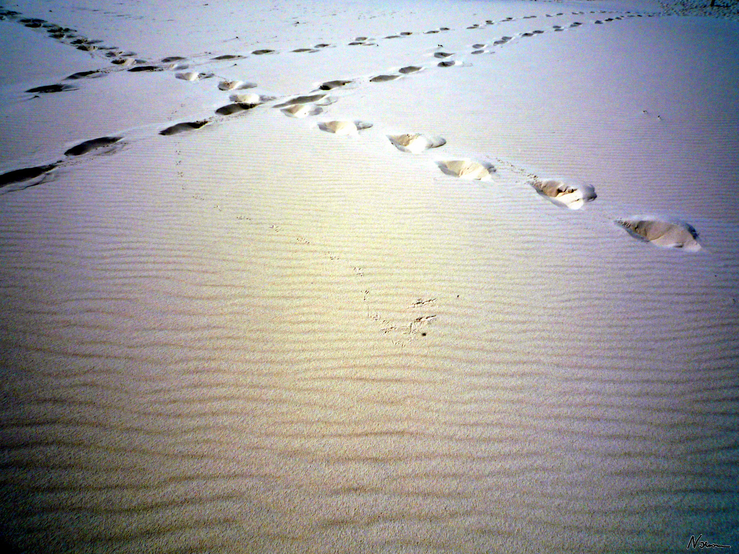 Spuren im Sand