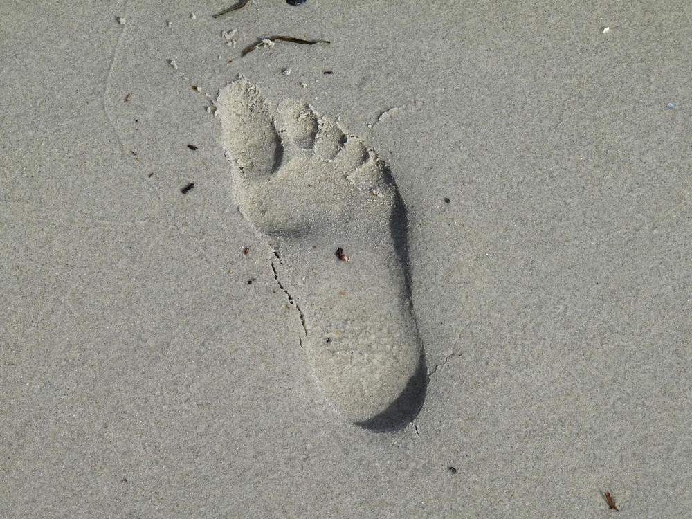 Spuren im Sand