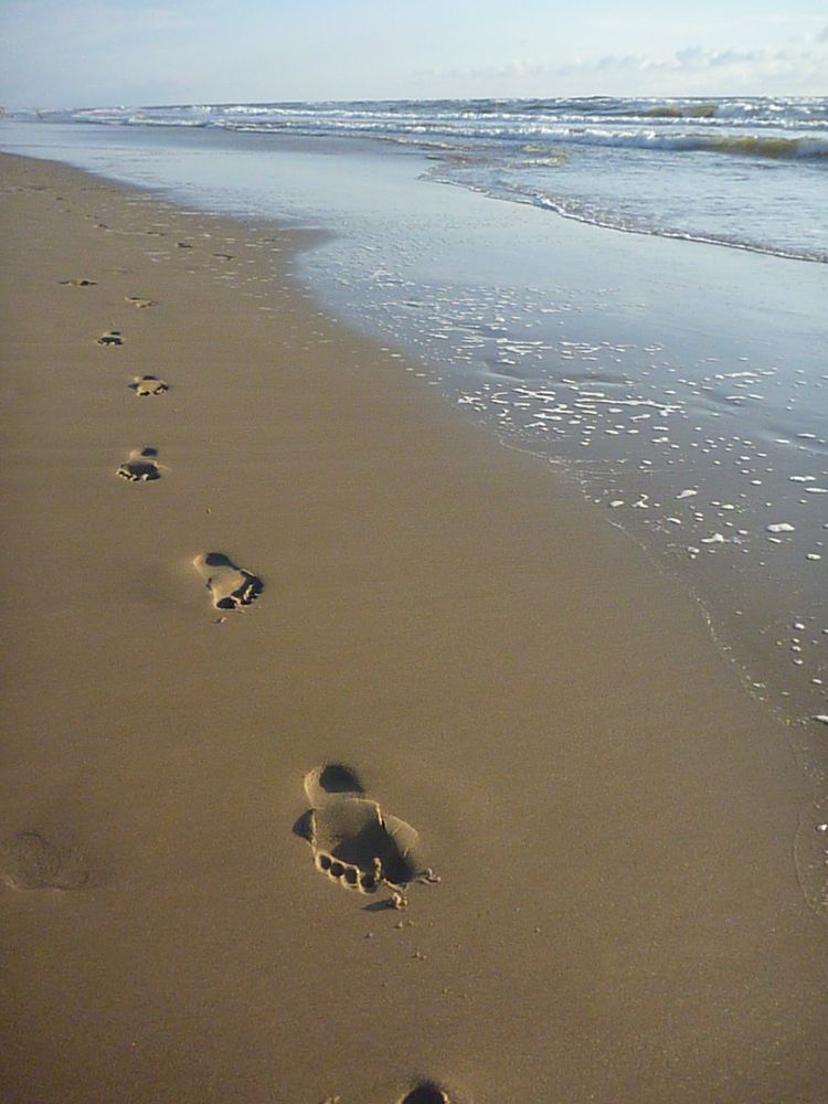 Spuren im Sand