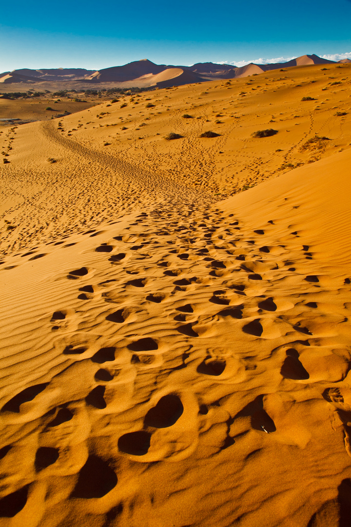 Spuren im Sand