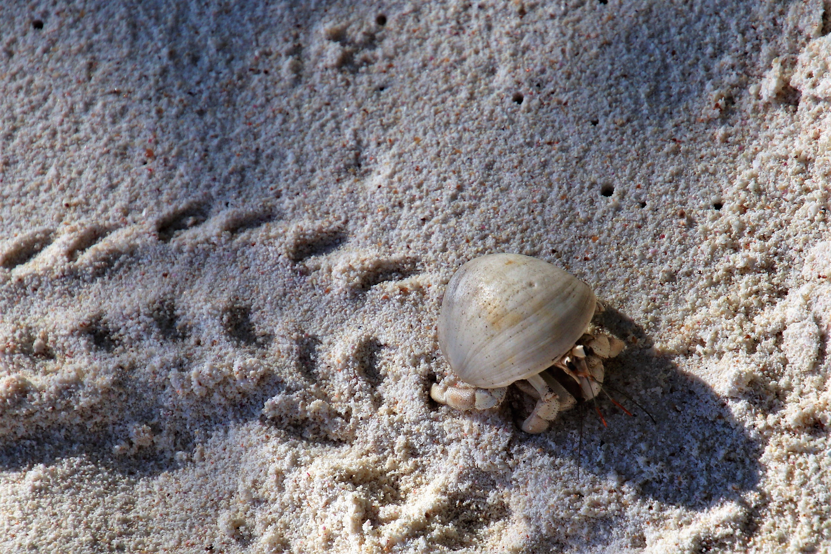 Spuren im Sand