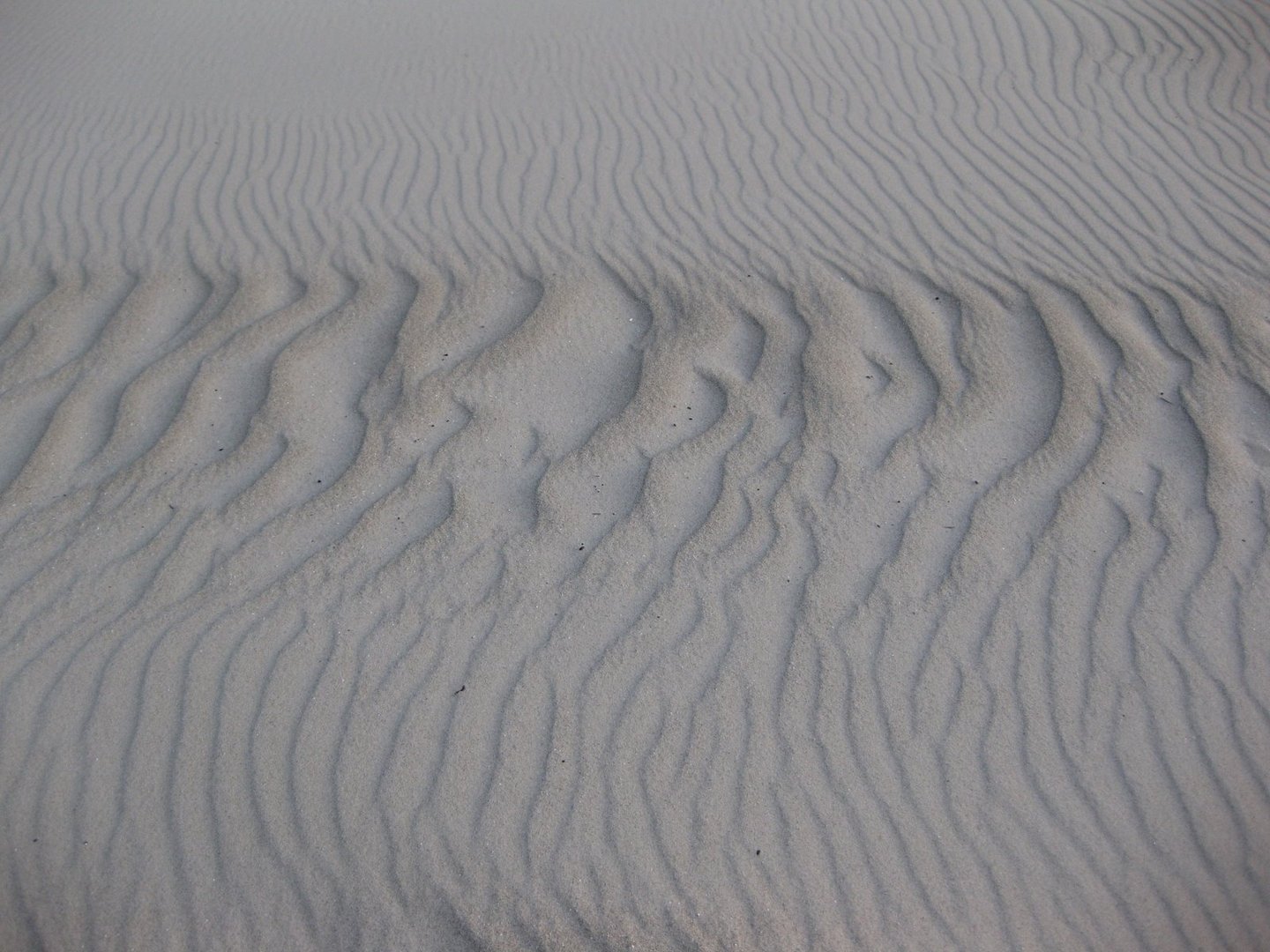 spuren im sand