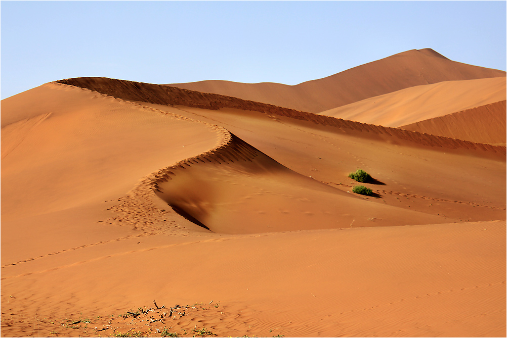 Spuren im Sand