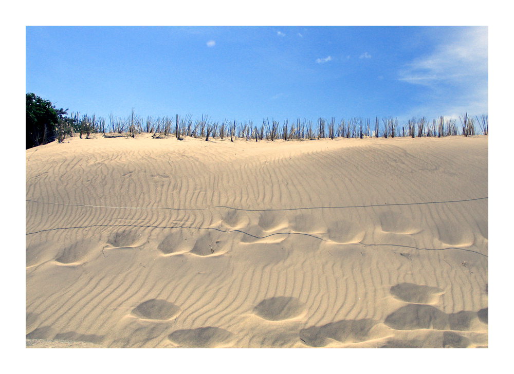 Spuren im Sand