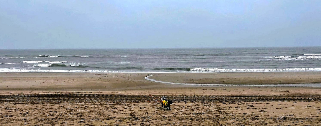 Spuren im Sand