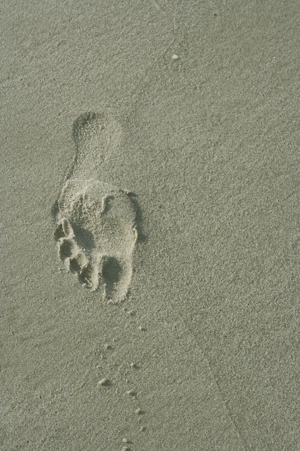 Spuren im Sand ( 1 )