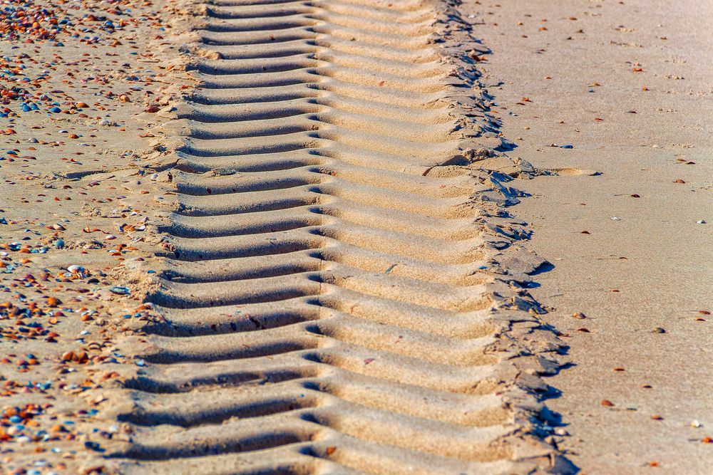 Spuren im Sand