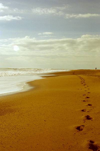 Spuren im Sand