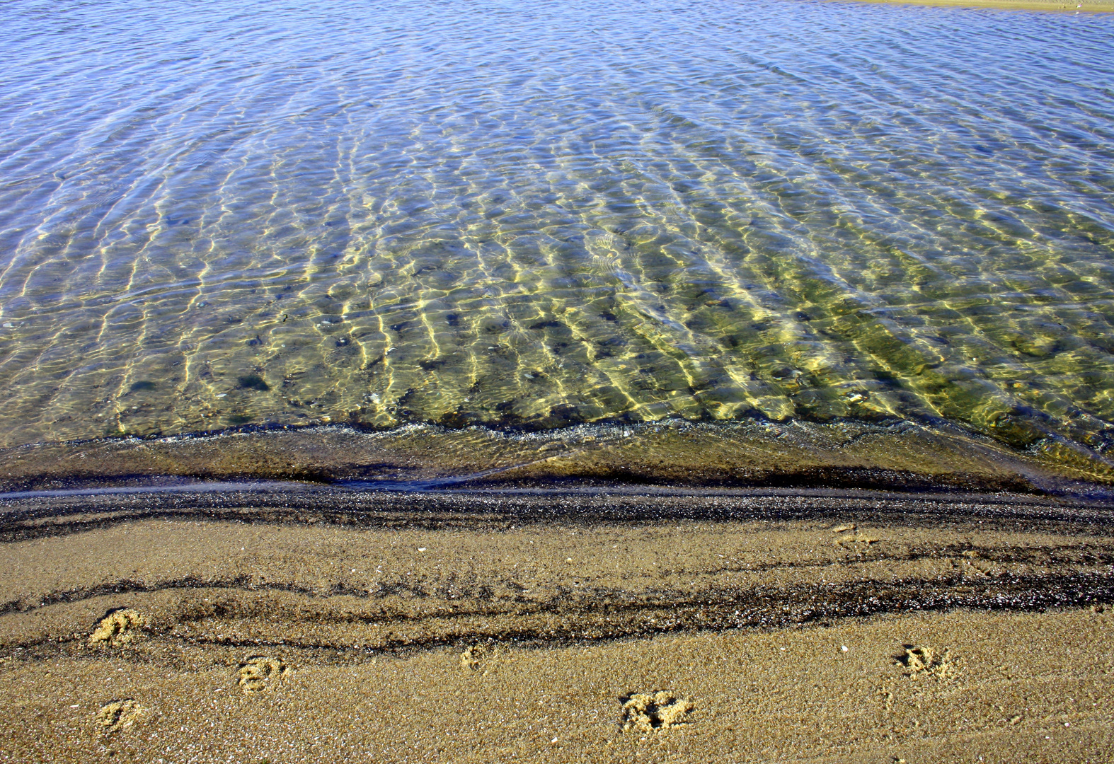 Spuren im Sand...