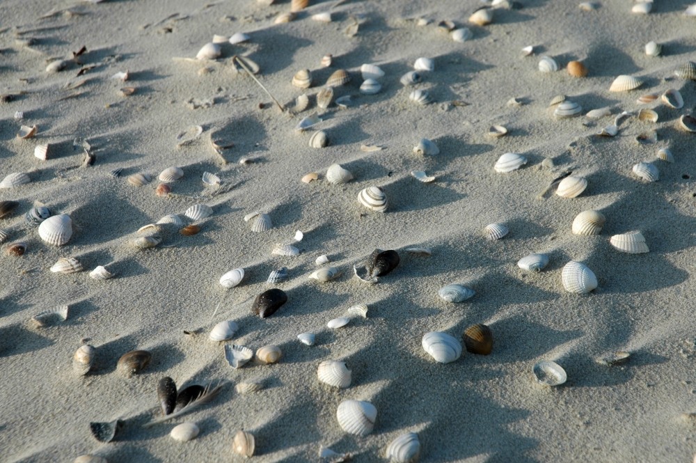 Spuren im Sand