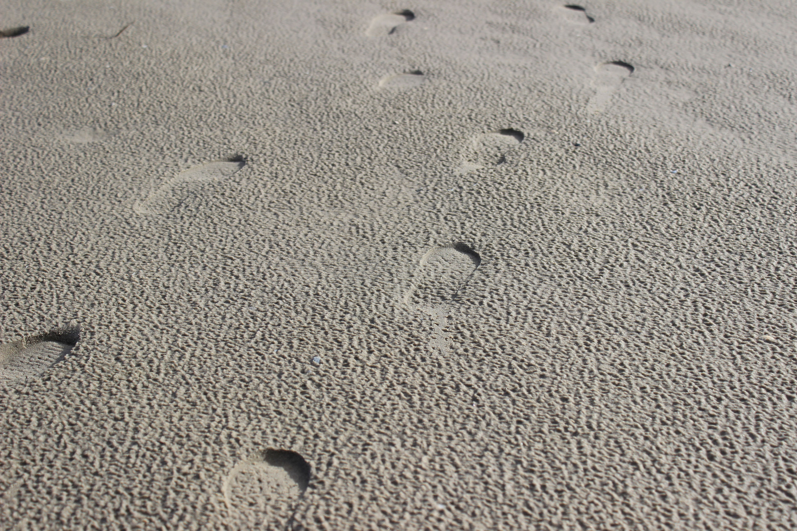 Spuren im Sand