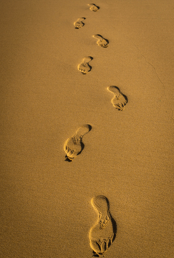 Spuren im Sand 2