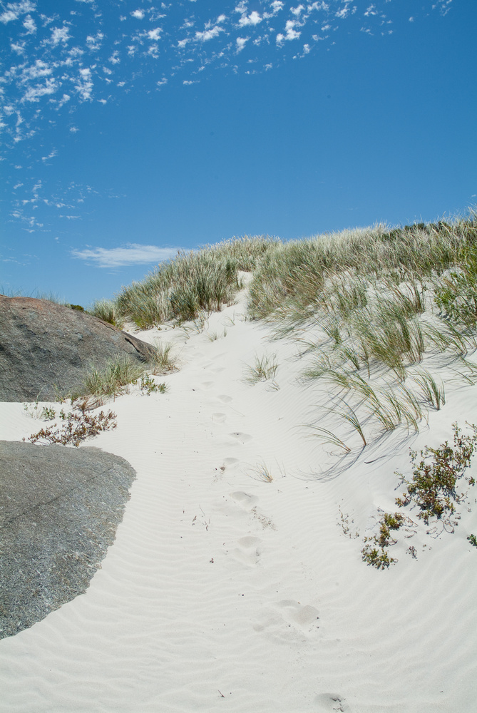 Spuren im Sand (2)