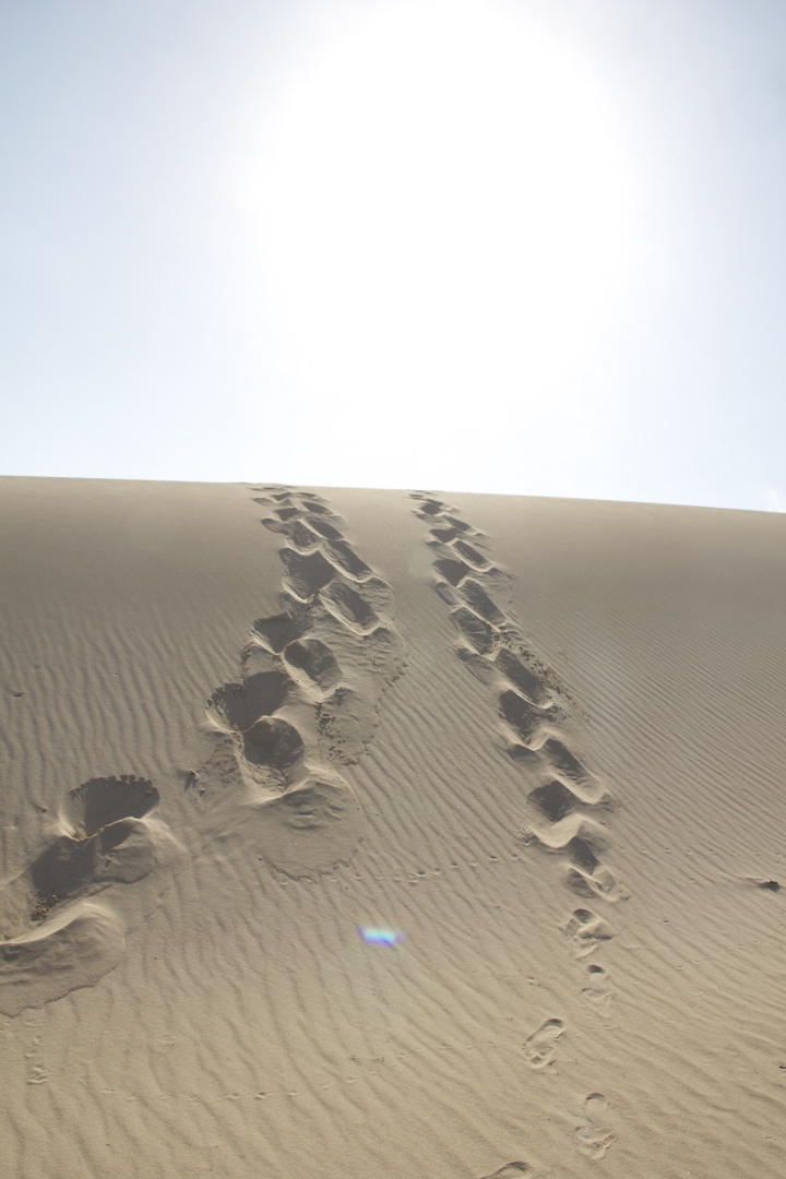 Spuren im Sand