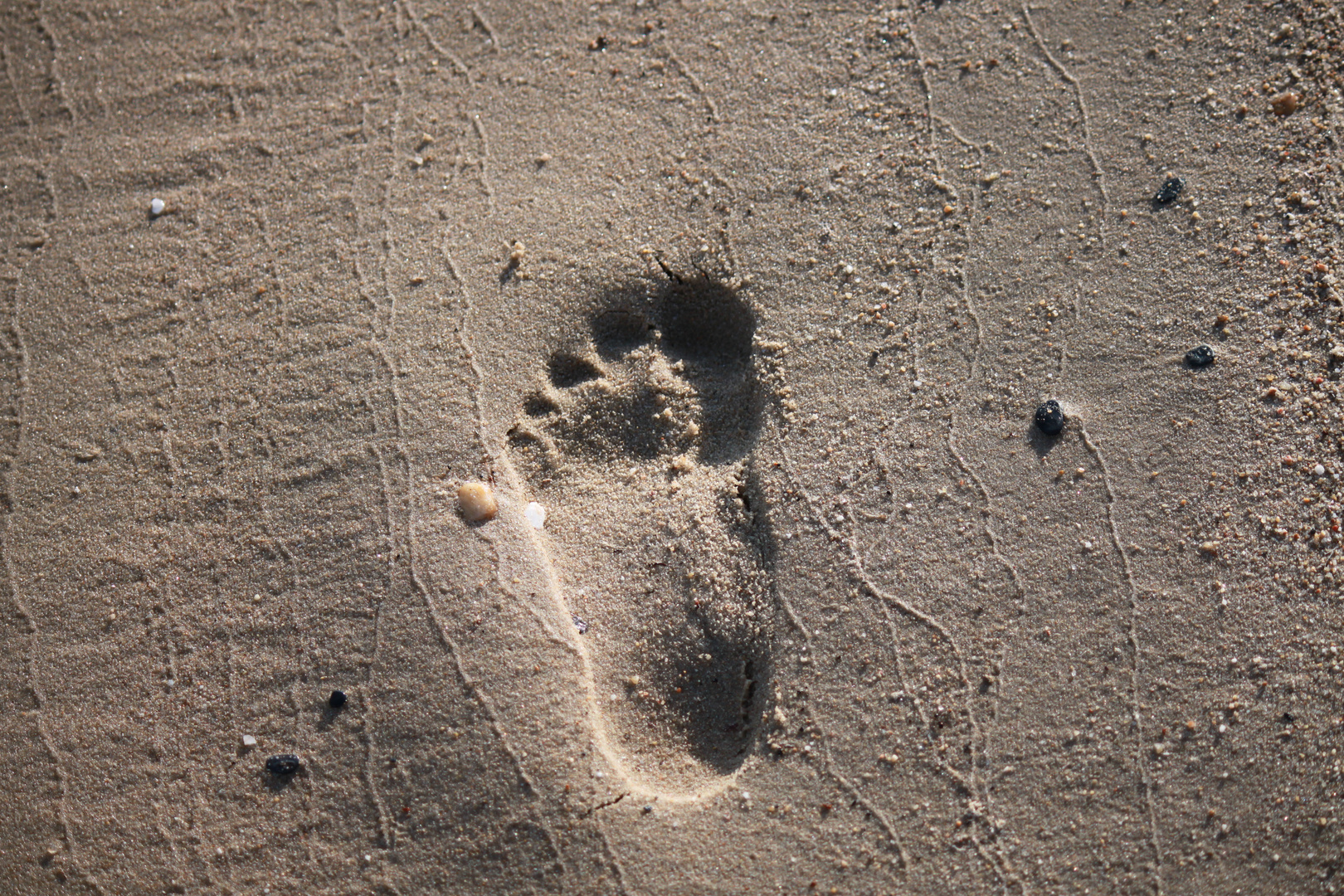 Spuren im Sand