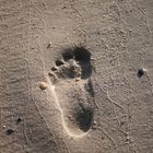 Spuren im Sand