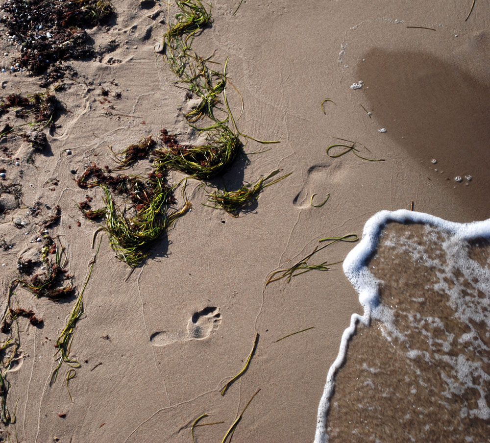 Spuren im Sand