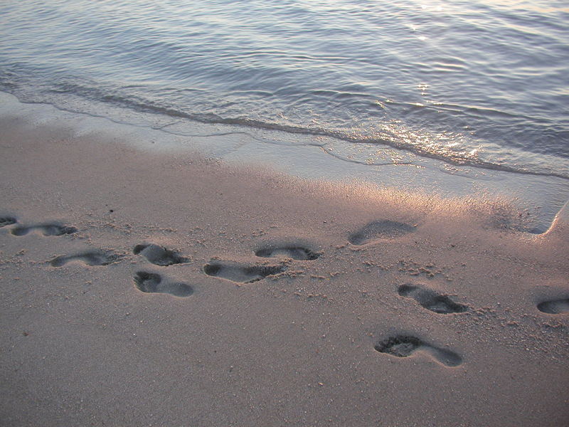 Spuren im Sand